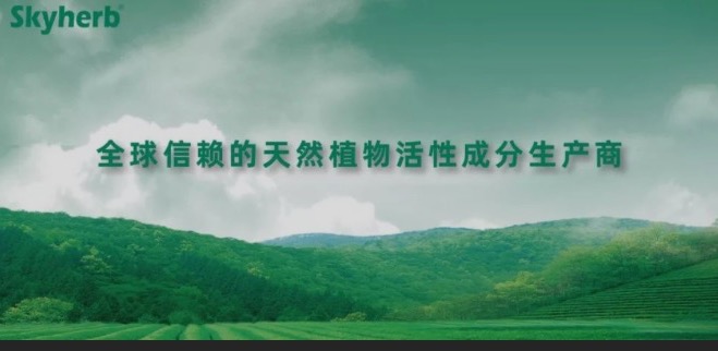 多年不懈努力，終獲官方青睞！